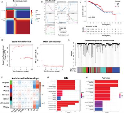 Frontiers Landscape Of Prognosis And Immunotherapy Responsiveness